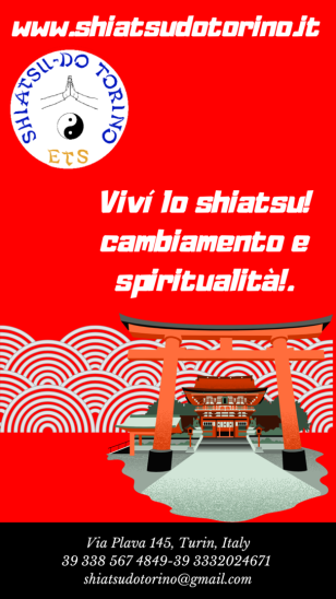 la felpa dell'Accademia